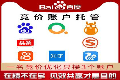 SEM代运营案例分析：精准投放策略解析